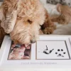 Best Friends Forever -kehys – Lapsi & Lemmikki